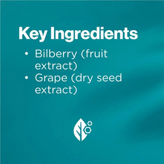 Blackmores Bilberry Eye Support Advanced Ingredients