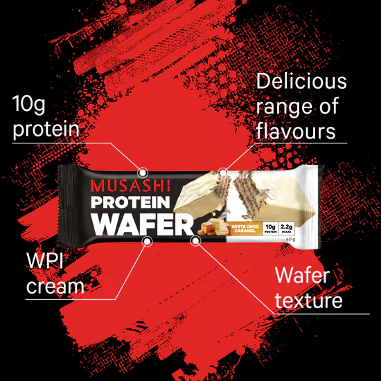Musashi Protein Wafer-Chocolate 40g*12