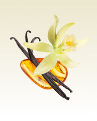 Glasshouse Fragrances Kyoto in Bloom 250mL Fragrance Diffuser Refill fragrance image